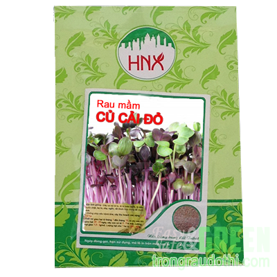 Hạt rau mầm củ cải đỏ